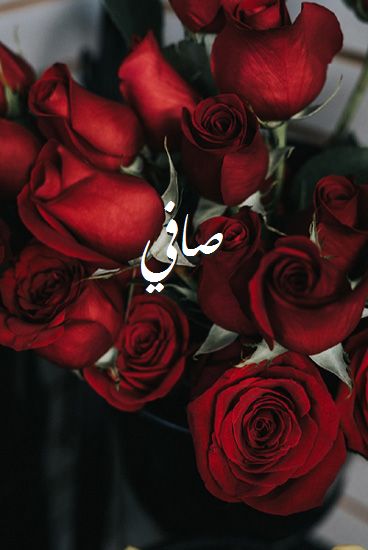 اسم صافي بالانجليزي