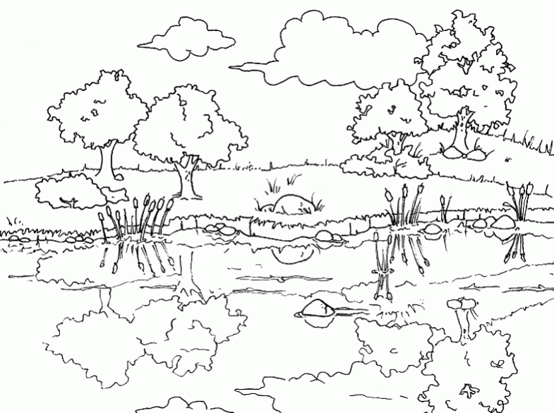 رسومات للتلوين جاهزة للطباعة للكبار 6