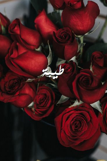 اسم طيبة بالصور1