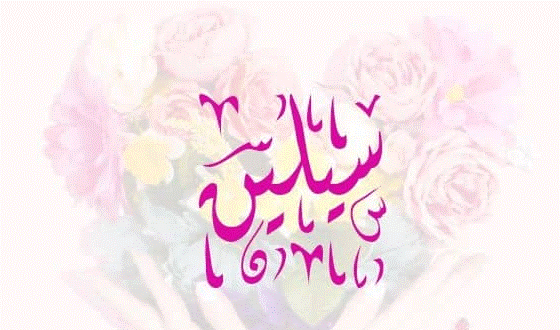 معنى اسم سيلين في القرآن الكريم