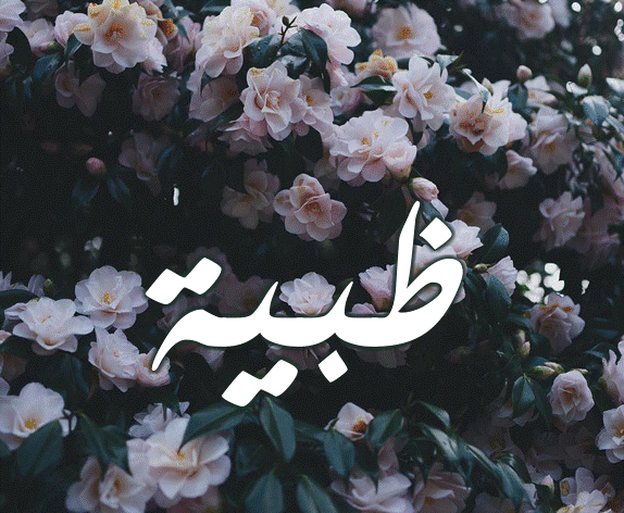  صور اسم ظبيه2
