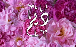 زخرفة اسم ديم