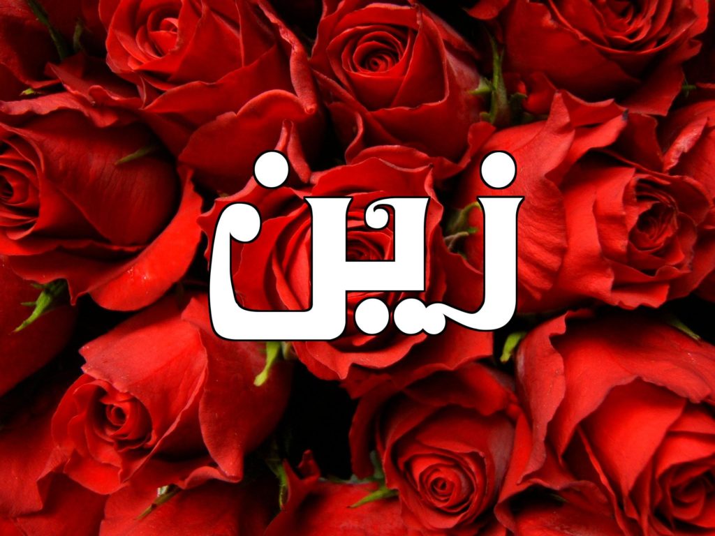 دلع اسم زين