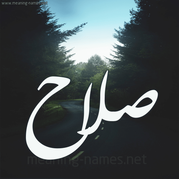 اسم صلاح مزخرف بالفرنسية