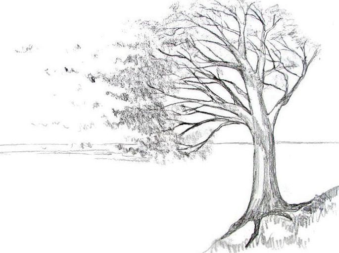 رسم الخريف بالرصاص 6