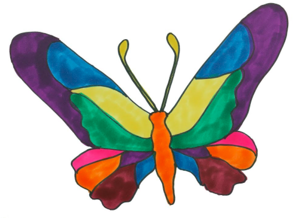 رسم فراشة للاطفال 4