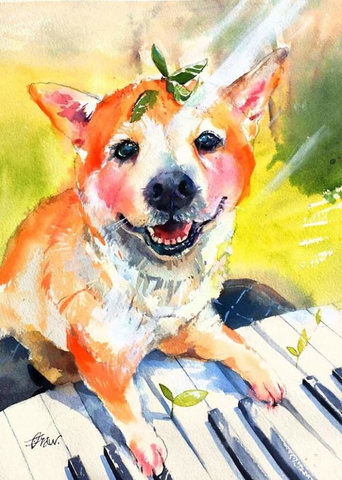 رسومات كلاب ملونة 5
