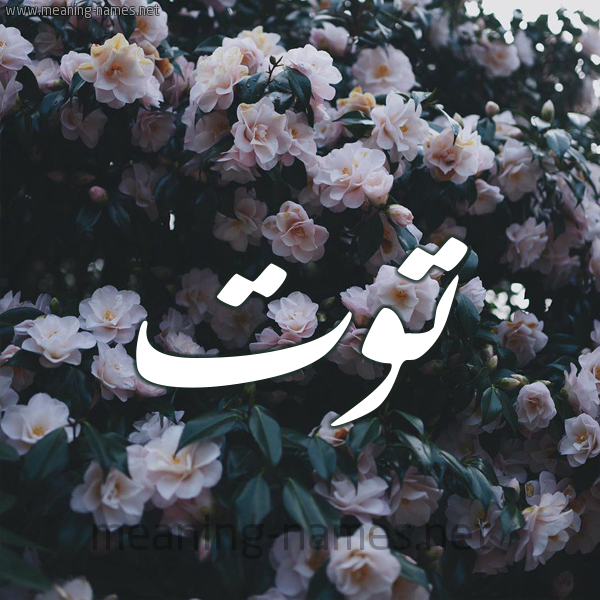 إسم توت مزخرف2