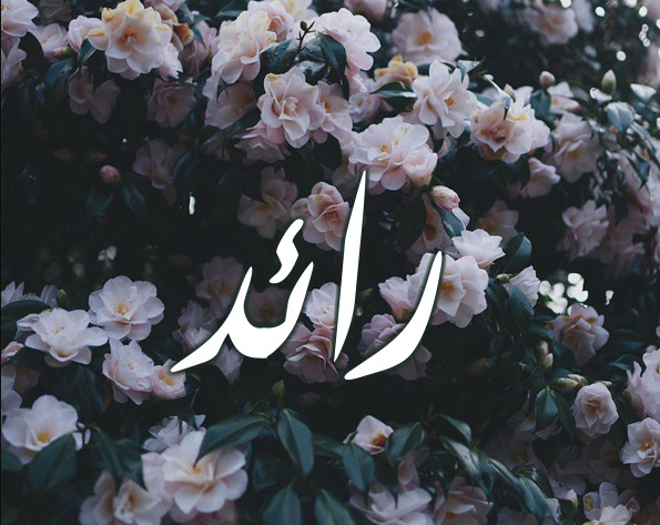 اسم رائد مزخرف بالذهب4