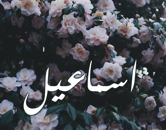 اسم اسماعيل بالصور3