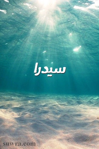 اسم سيدرا بالورد1