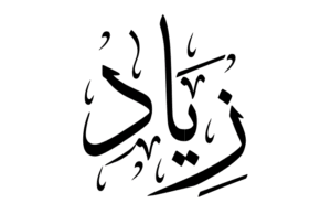 زخرفة اسم زياد