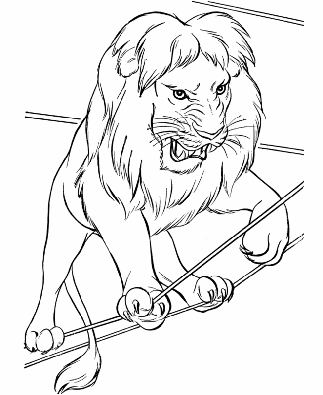 رسومات حيوانات مفترسة للتلوين 2