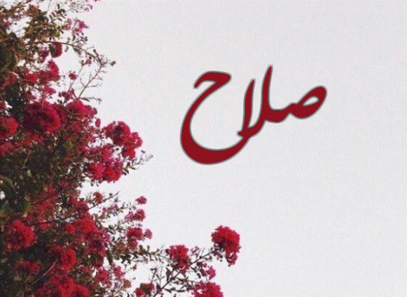 اسم صلاح مزخرف بالصور3