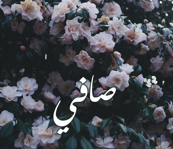 اسم صافي بالصور2
