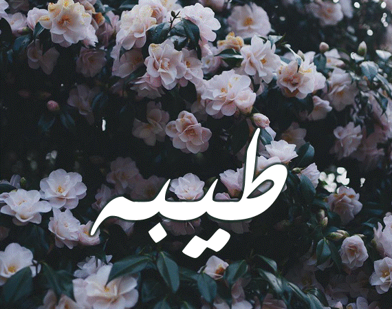 اسم طيبة بالصور3