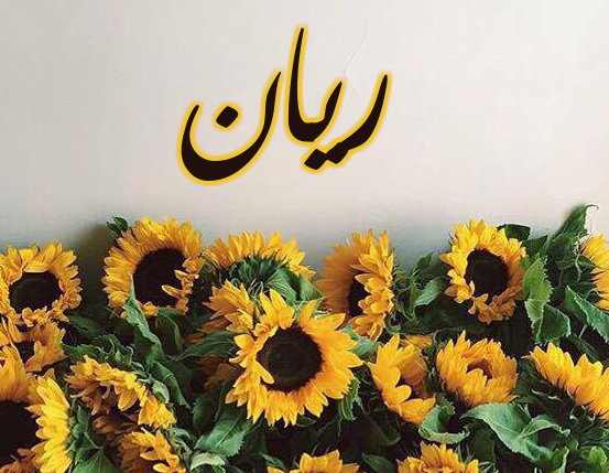 دلع اسم ريان