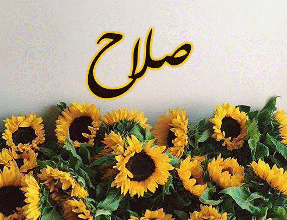 اسم صلاح مزخرف بالصور4