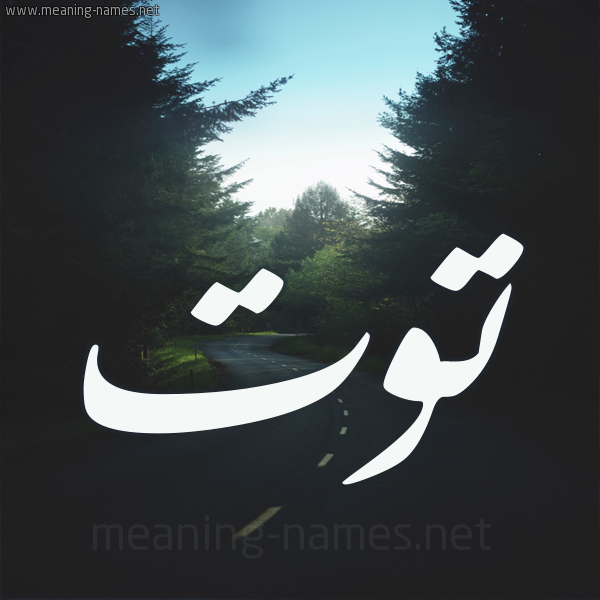 إسم توت مزخرف3
