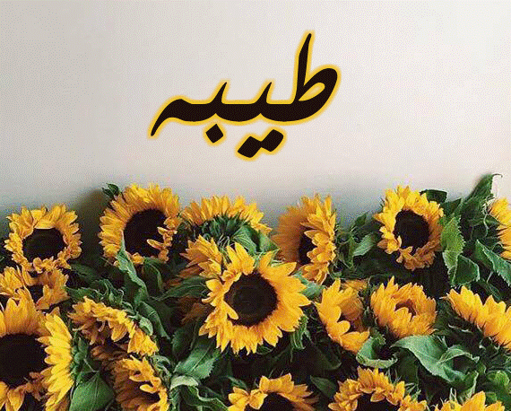 اسم طيبة بالصور4