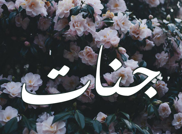 زخرفة إسم جنات- اسم جنات بالصور4