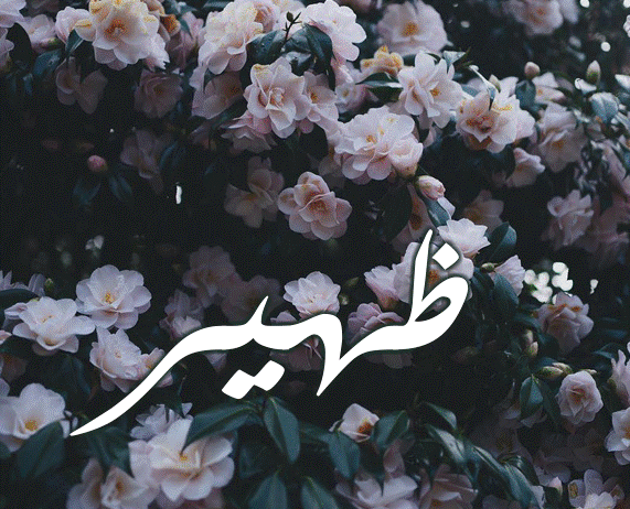 صور اسم ظهير7