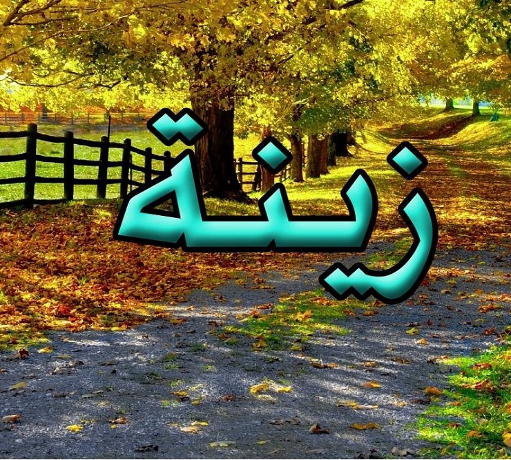 اجمل الصور عن اسم زينة2