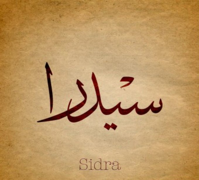 اسم سيدرا بالورد3