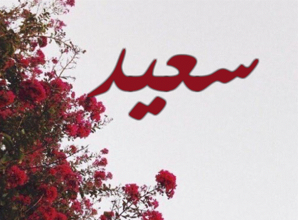 اسم سعيد بالصور3