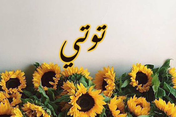 اسم توتي مزخرف1