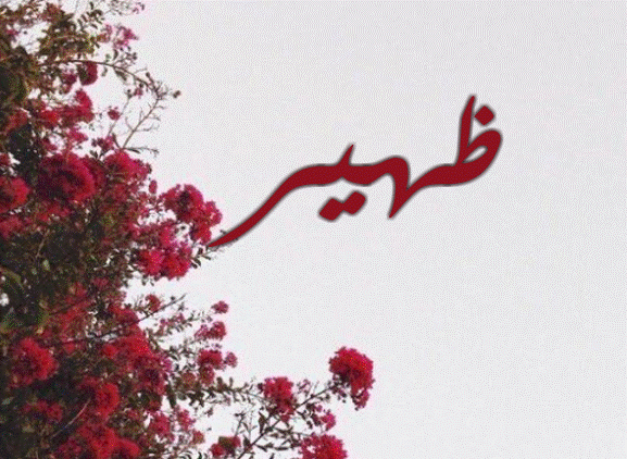 صور اسم ظهير8