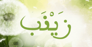 زخرفة اسم زينب بالعربي