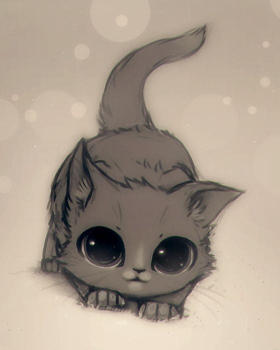 رسومات قطط كيوت 1