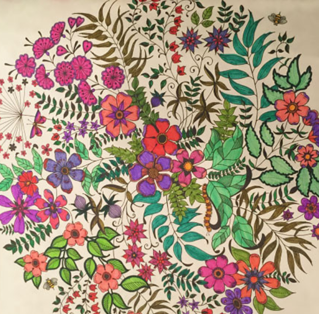رسومات تلوين للكبار ملونة 1