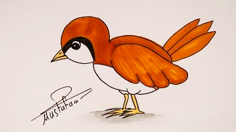 رسم عصفور 1