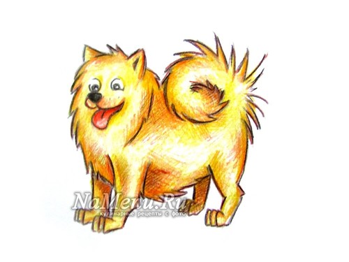 رسومات كلاب ملونة 3