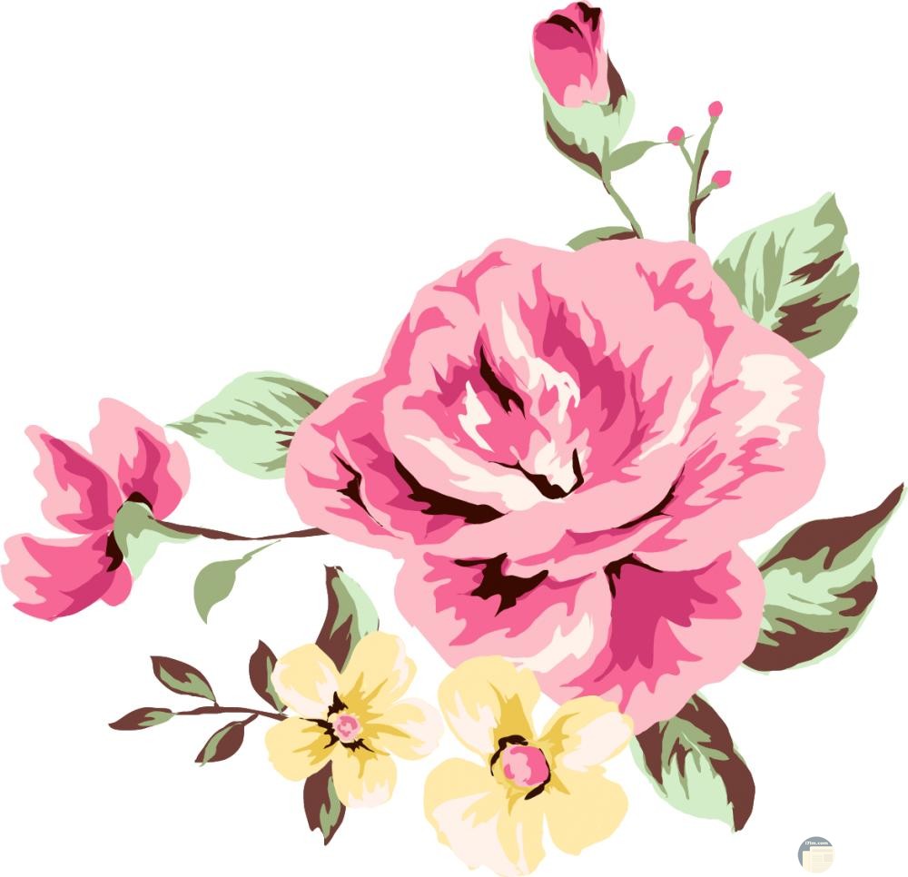 رسومات زهور ملونة 4