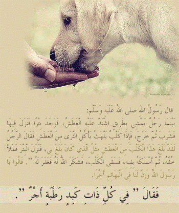 رسومات تلوين رفق - عبارات عن الرفق بالحيوان 2