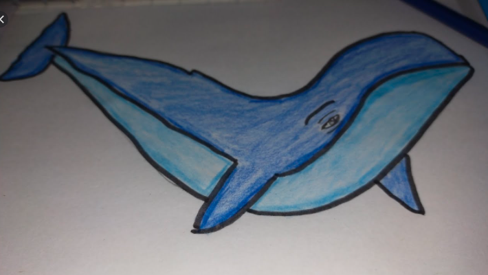 رسم حوت 4