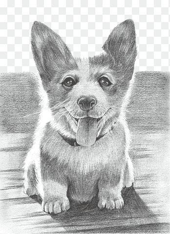 رسومات كلاب بالرصاص 1