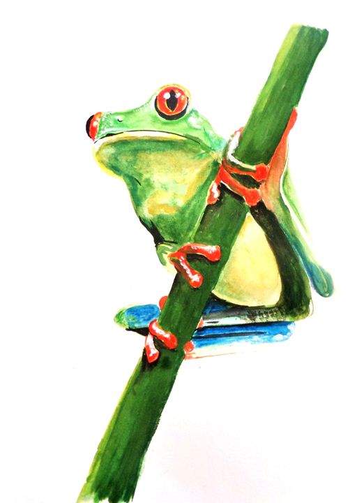 رسم ضفدع حقيقي 4