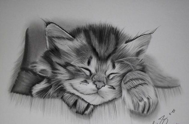 رسومات قطط كيوت 6