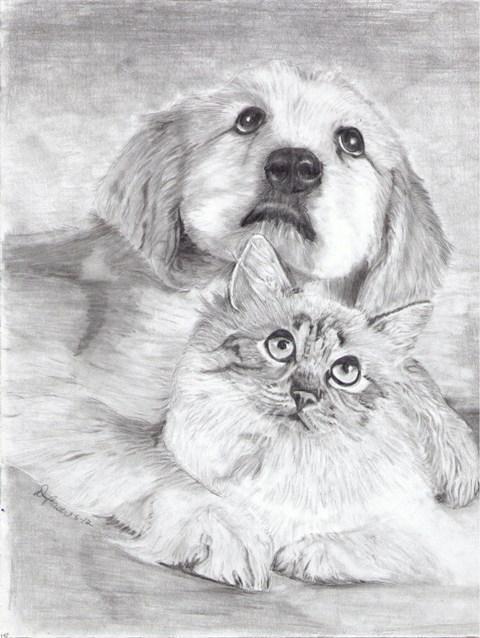 رسومات كلاب بالرصاص 6