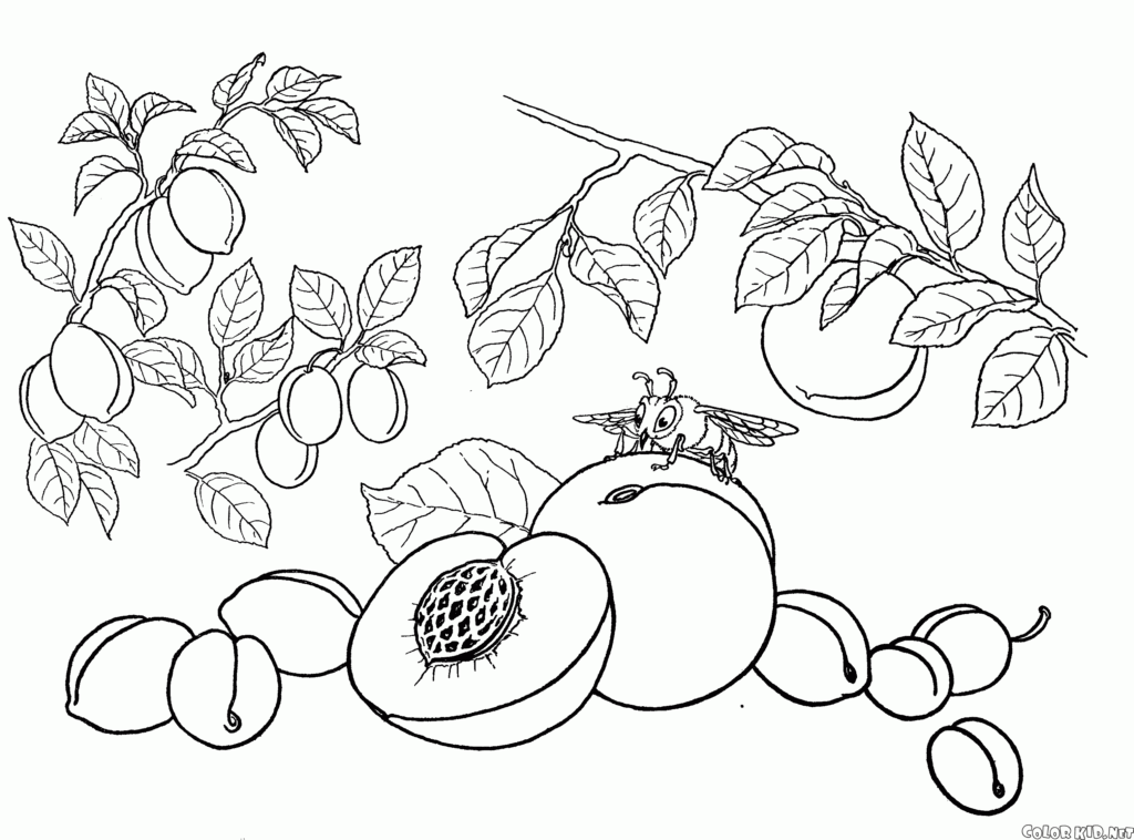 جاهزة للطباعة رسومات تلوين للاطفال pdf 2