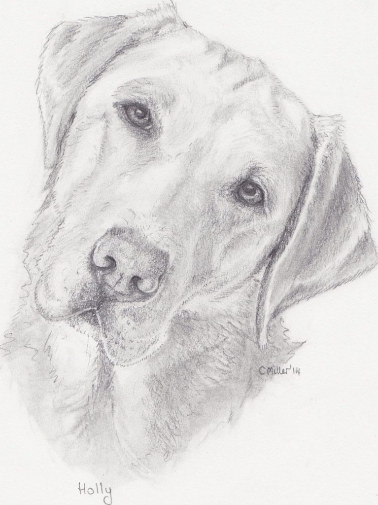 رسومات كلاب بالرصاص 3