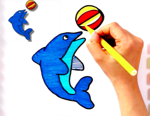 رسم دولفين يلعب بالكرة 5