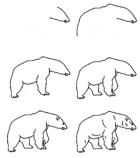 رسم دب سهل 2