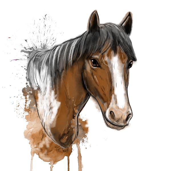رسم حصان ثلاثي الأبعاد 3