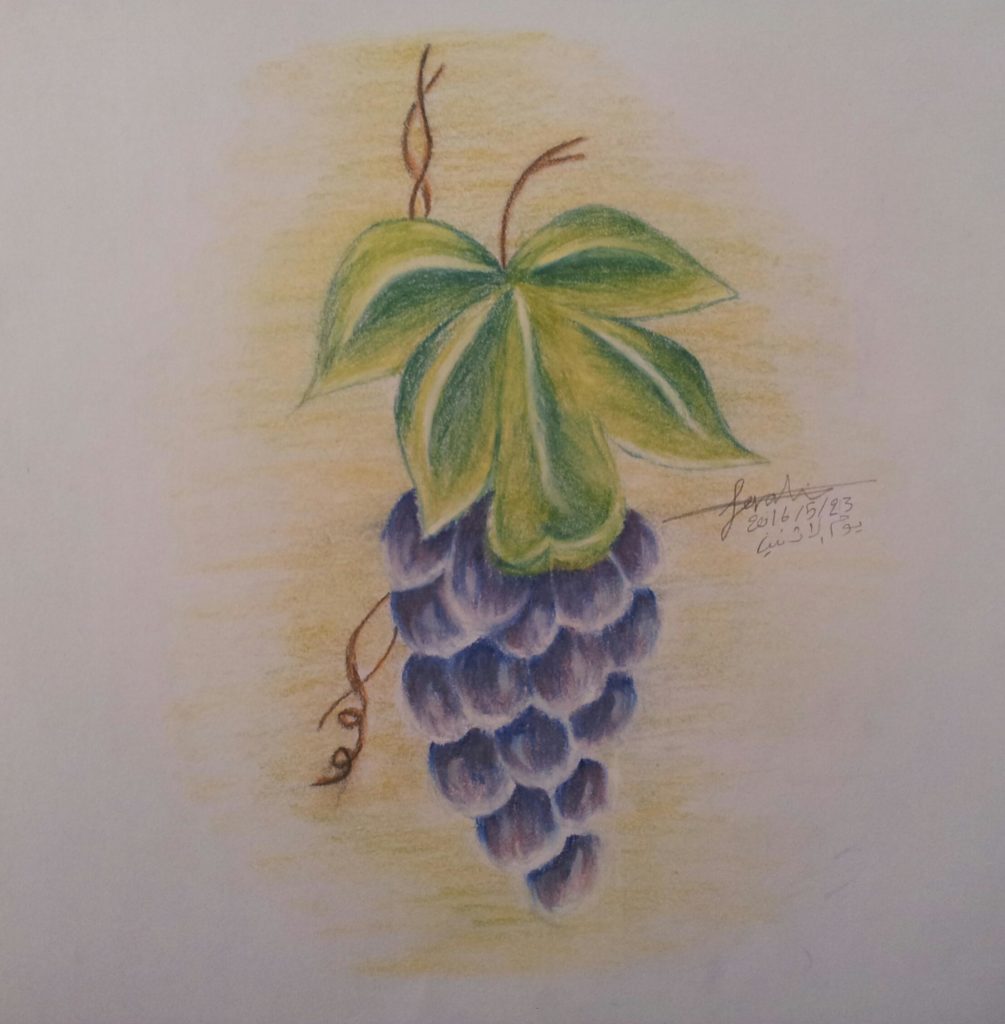 رسم عنب بالرصاص 4