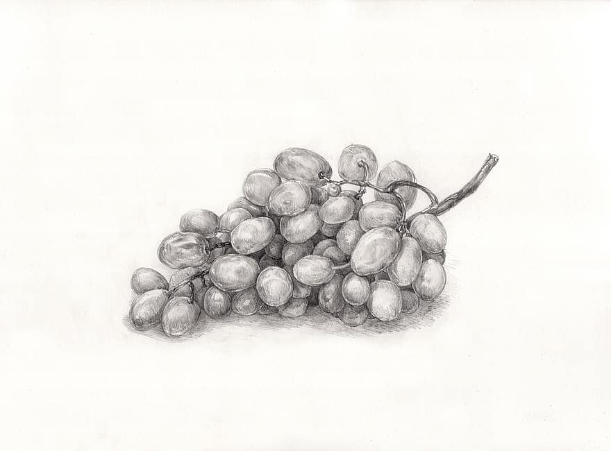 رسم عنب بالرصاص 3